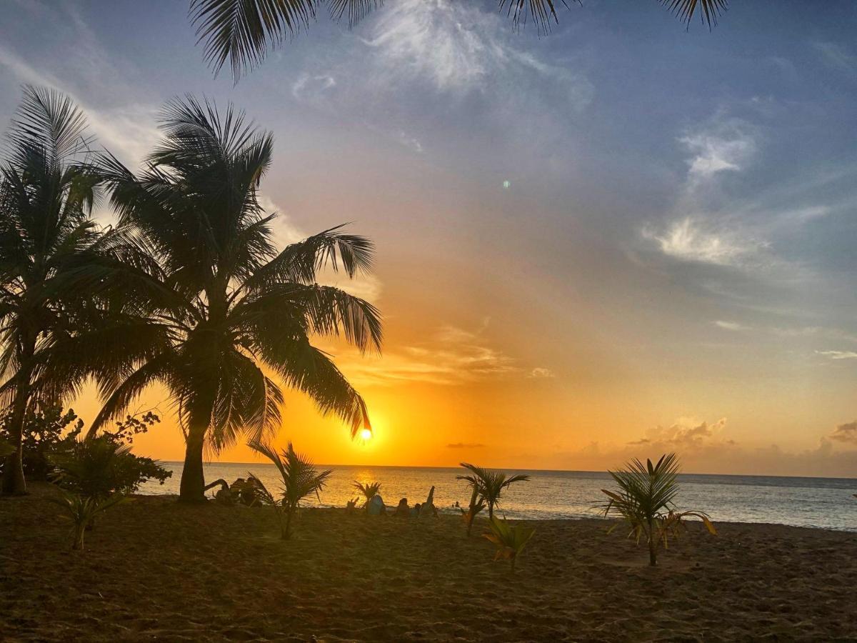 O Coeur De Deshaies Appartements Grande Anse Et Amandiers Exteriér fotografie