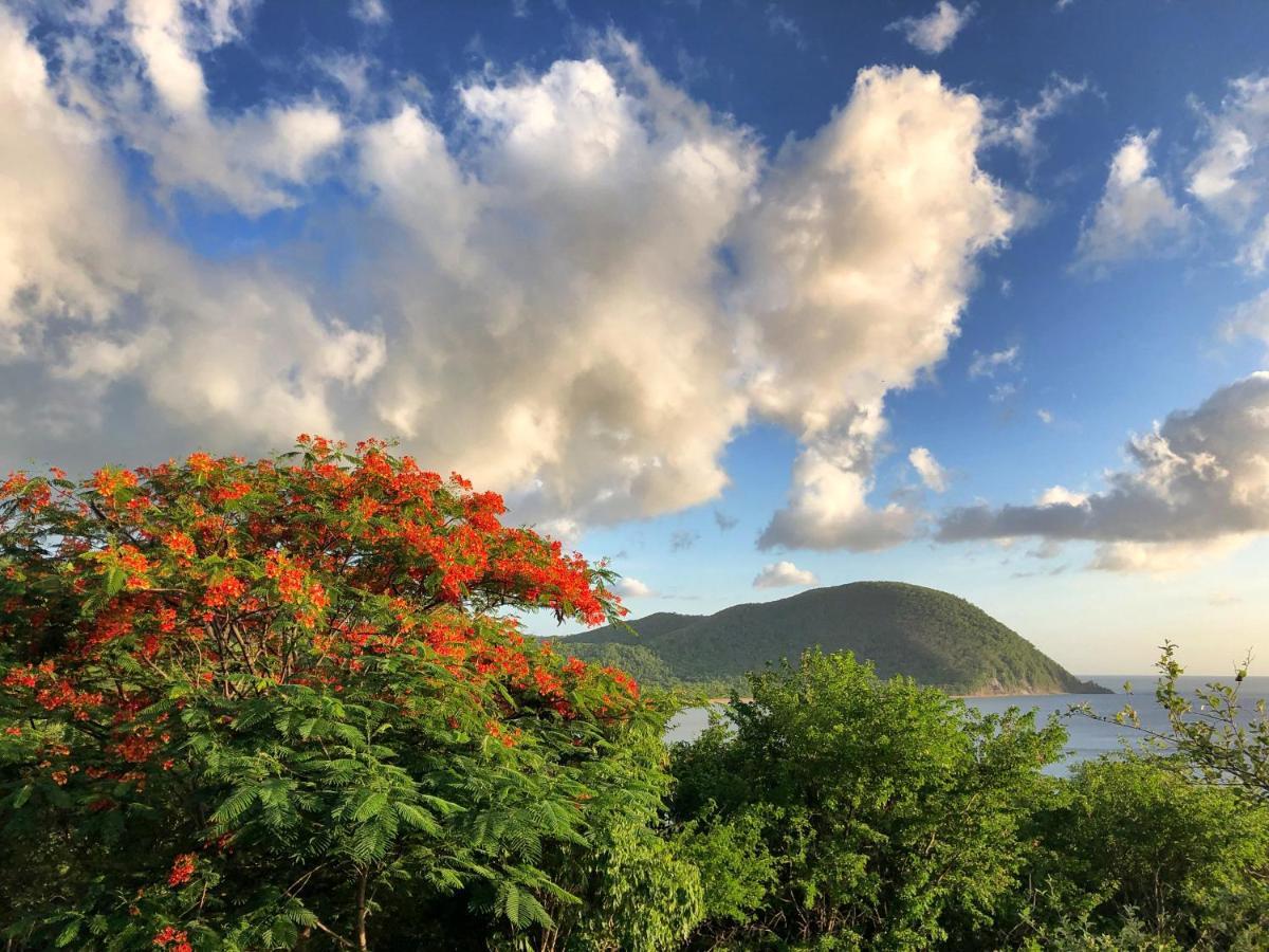 O Coeur De Deshaies Appartements Grande Anse Et Amandiers Exteriér fotografie