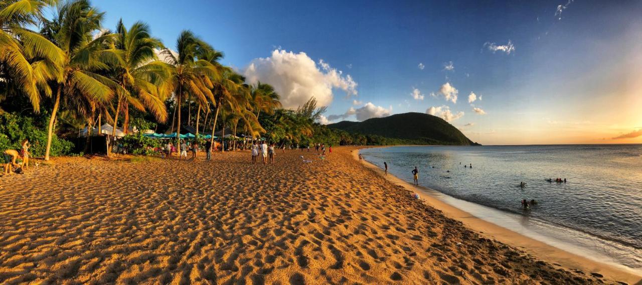 O Coeur De Deshaies Appartements Grande Anse Et Amandiers Exteriér fotografie